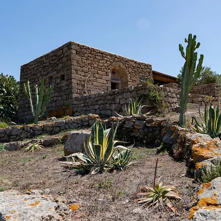 Kuddia Attalora